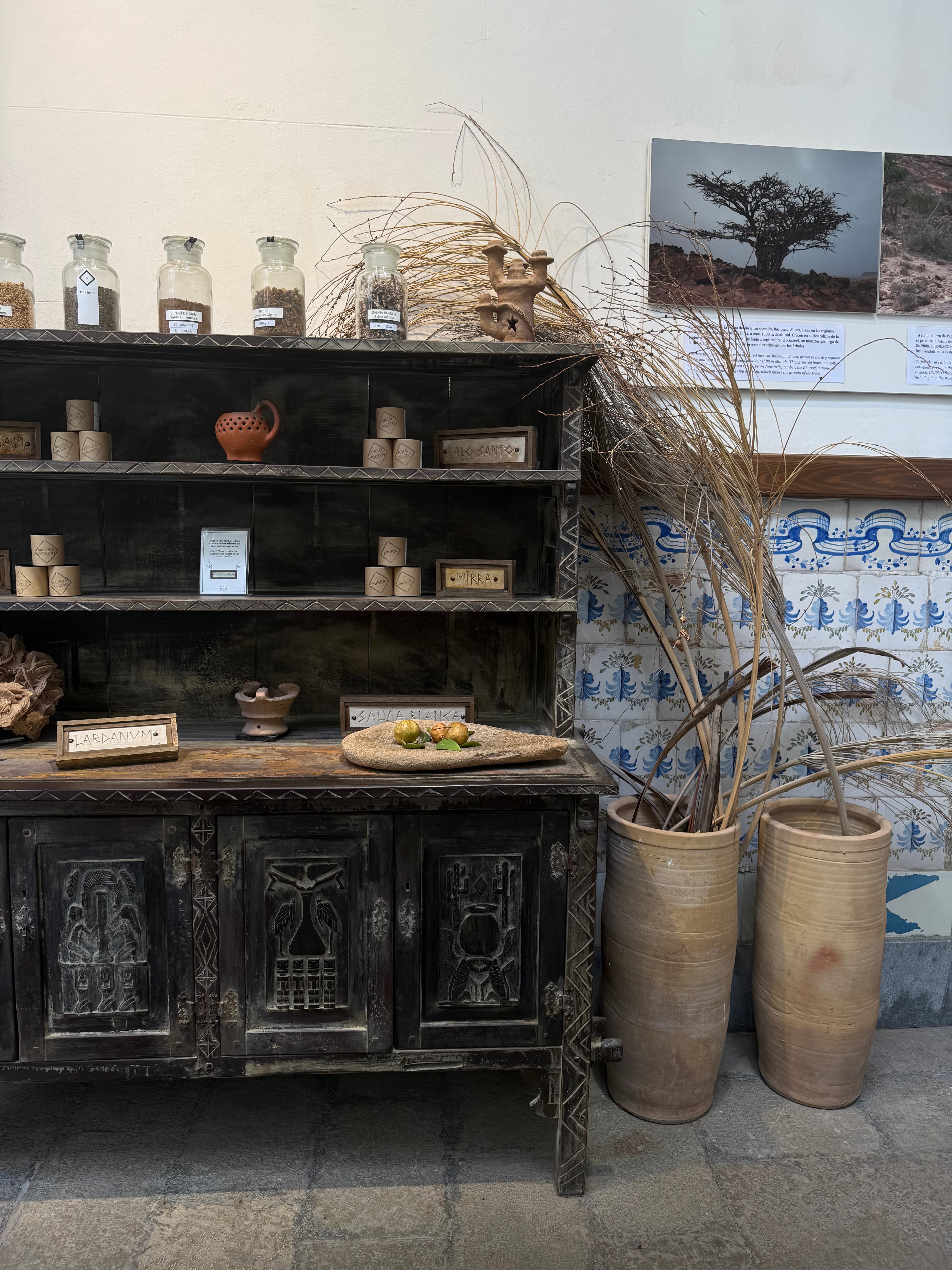 Ancient Botanical Essences