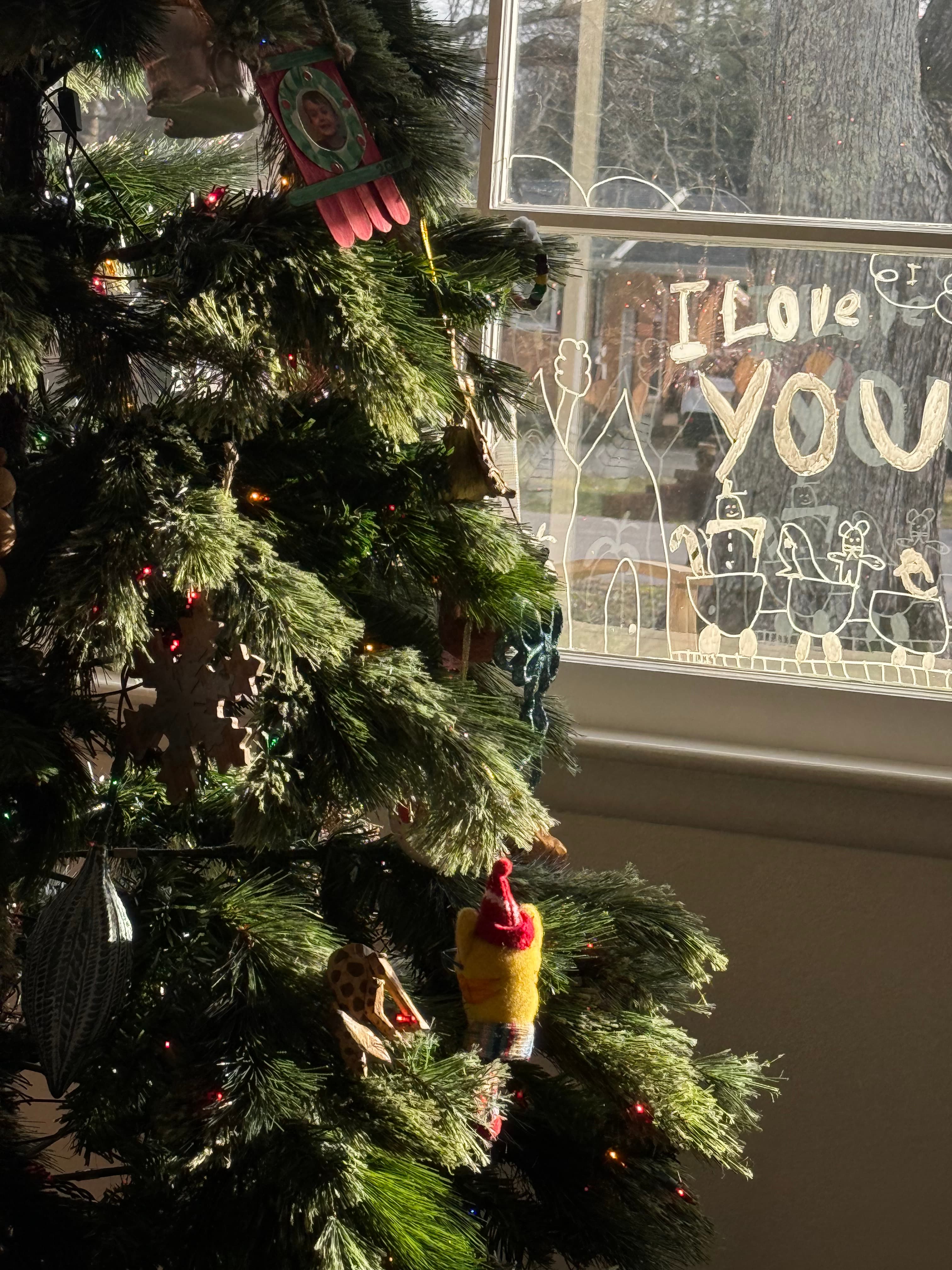 Winter's Quiet Embrace