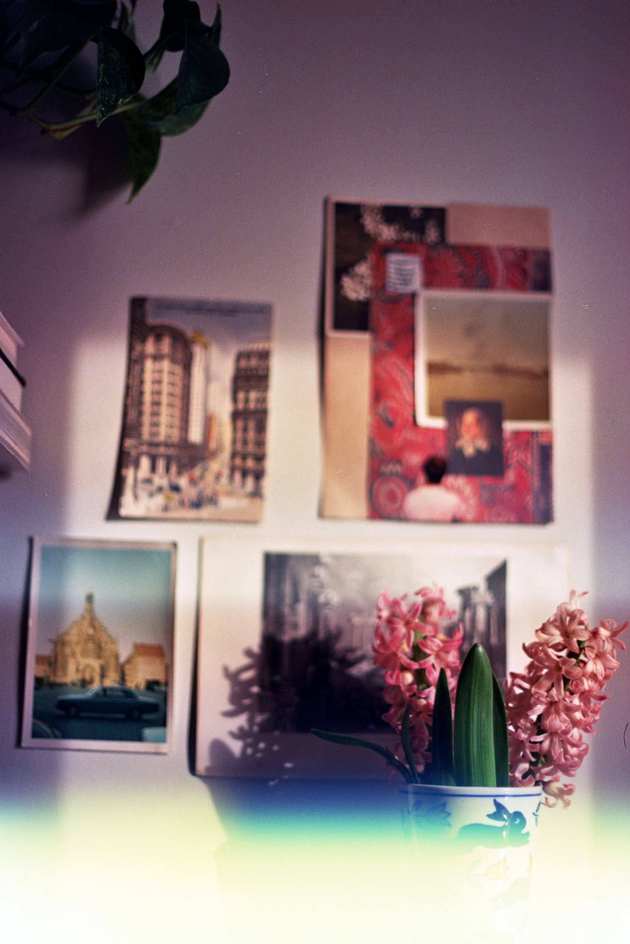 Urban Reverie, Floral Echoes